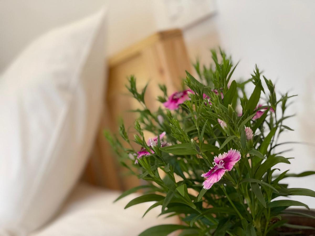 Pleiku Homestay Kültér fotó