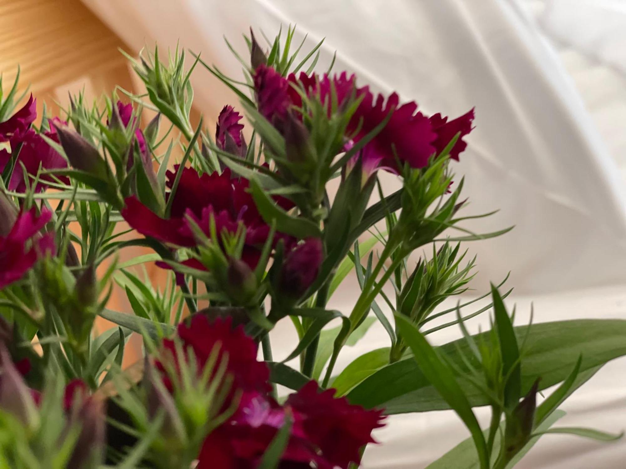 Pleiku Homestay Szoba fotó